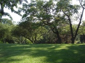 DSC08189.JPG